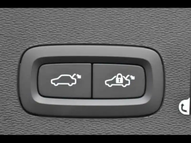 Volvo C40 e single extended range 252ch plus — photo 12