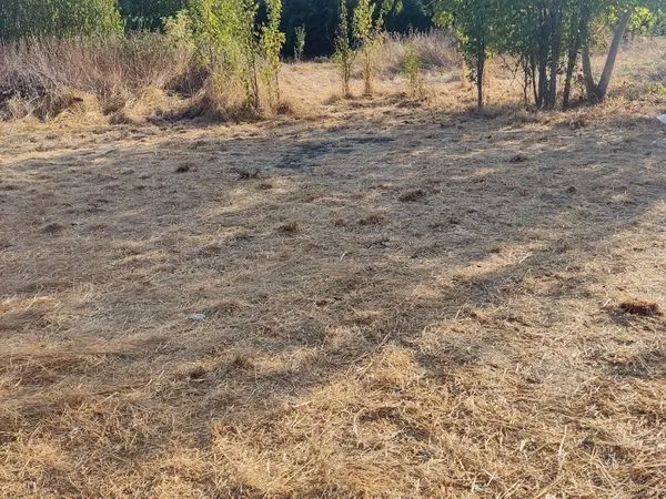 Terrain constructible avec permis de construire