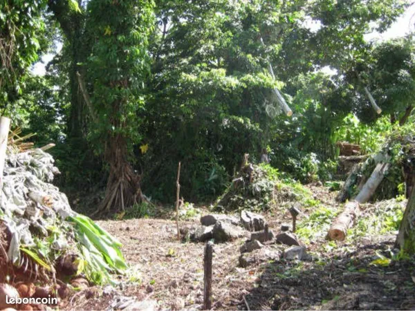 Terrain constructible