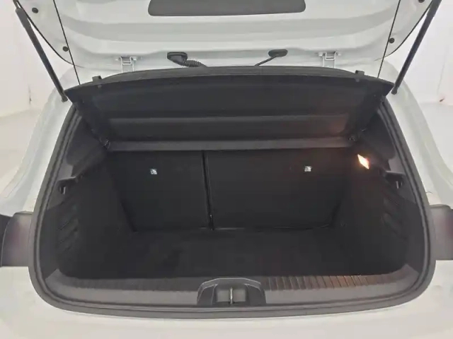 Renault Clio tce 100 gpl - 21 — photo 274