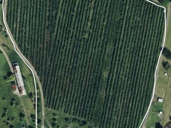 Exploitation Agricole Fruitière Arboricole