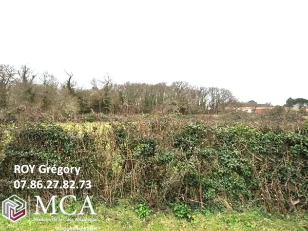 Terrain 445 m²