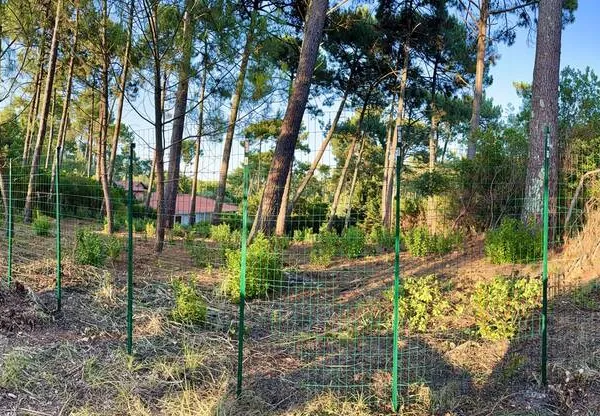 Terrain 1168 m²
