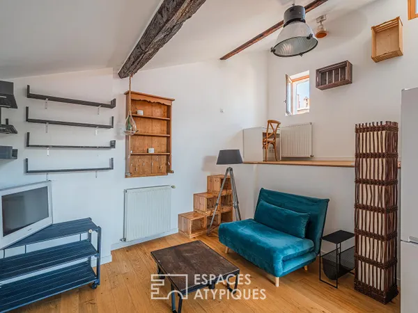 Appartement atypique en dernier étage dans le centre ville historique
