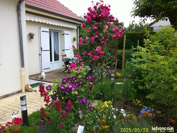 Maison de plain pied mitoyenne