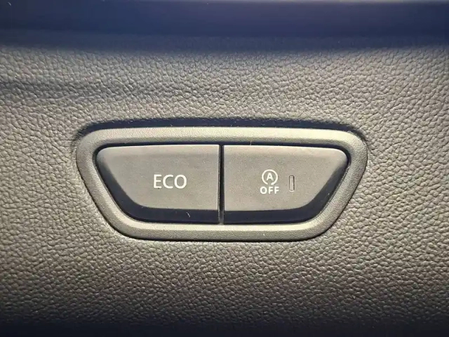 Renault Kadjar blue dci 115 — photo 37