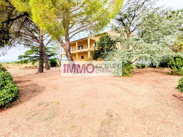 Maison vigneronne 8 pièces 218 m²