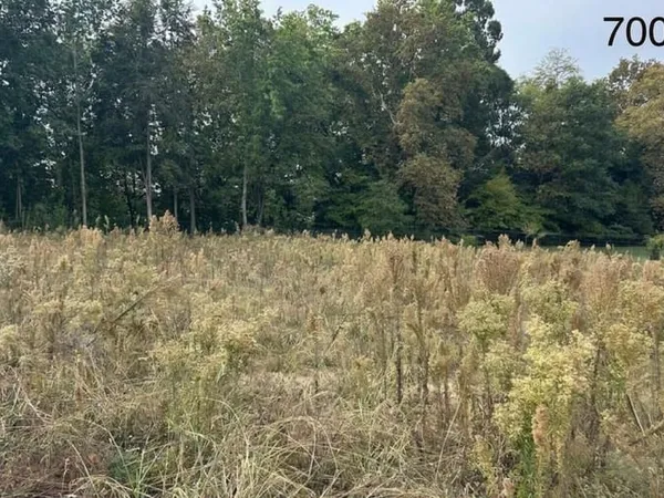 Terrain 700 m²