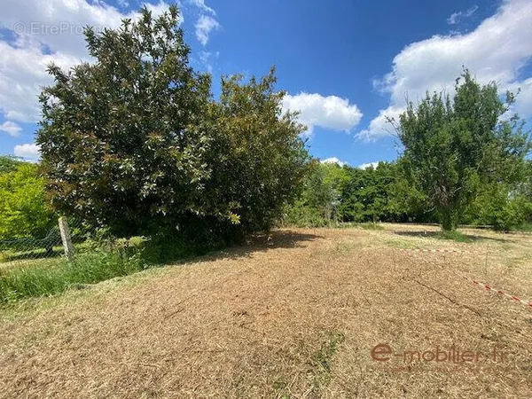 Terrain 1000 m²