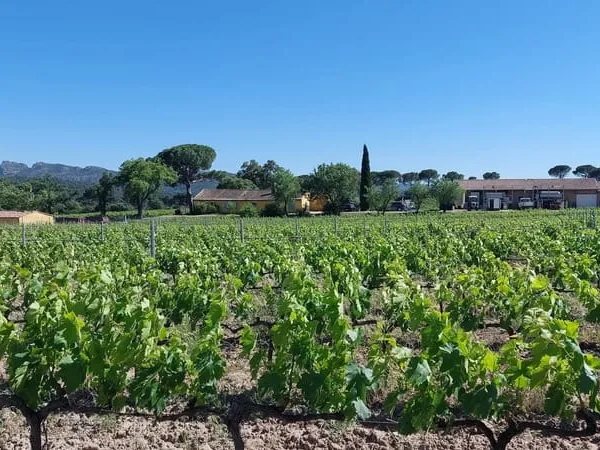 Maison 6 pièces 285 m²