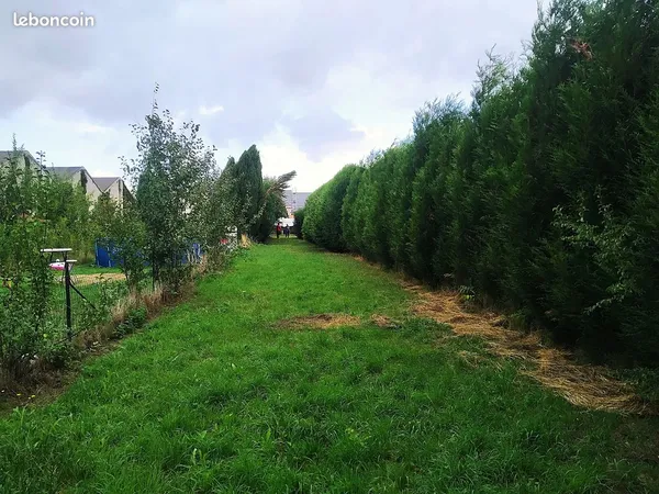 Terrain 535m2