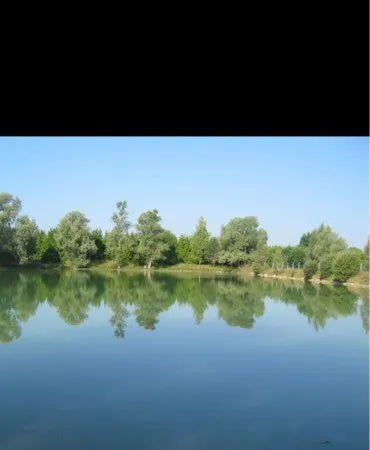 Etang de pêche