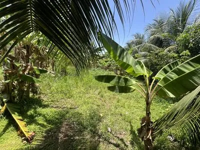 Terrain 675 m² Secteur calme Sainte-Marie
