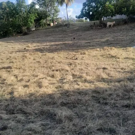 VALETTE - BEAU TERRAIN PLAT DE 3 000 m²