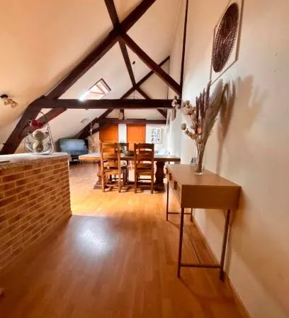 🌟 COUP DE CŒUR EN PLEIN CENTRE-VILLE - Superbe T3 atypique de 52 m² 🌟