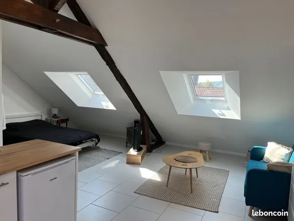Studio 40m2 + terrasse , centre ville