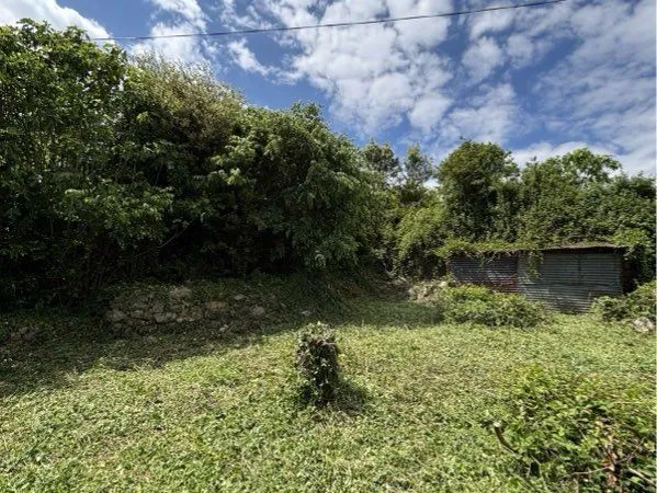 Terrain constructible- Branoux les taillades