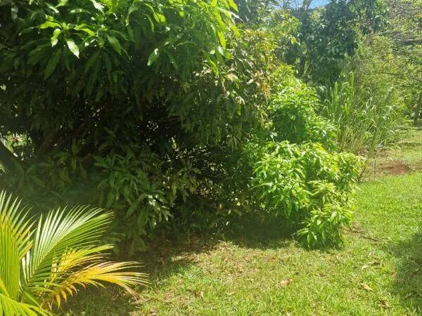 Terrain 448 m²