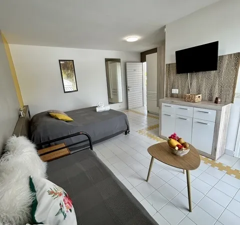 Appartement 1 pièce 25 m²