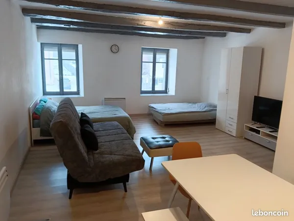 Appartement Meublé 1 pièce 45m²
