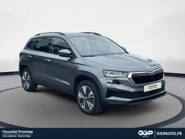 Skoda Karoq 2.0 tdi 116ch scr business dsg7 — photo 7