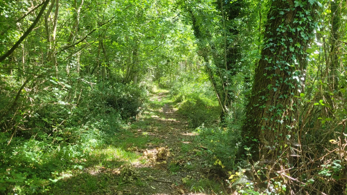 Photo 23