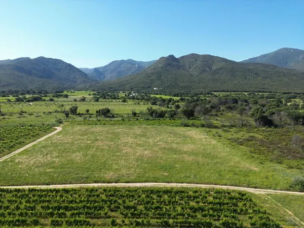 Terrain 2270 m²