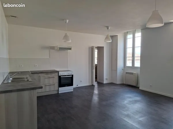 T3 entièrement rénové 65 m2-1er étage
