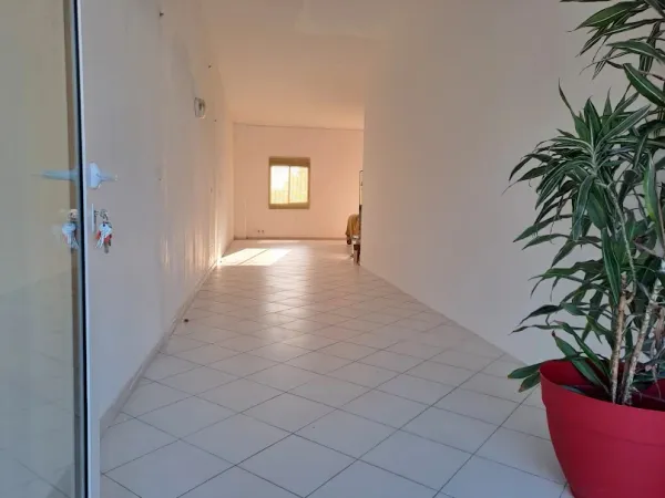 Local 1 pièce 50 m²