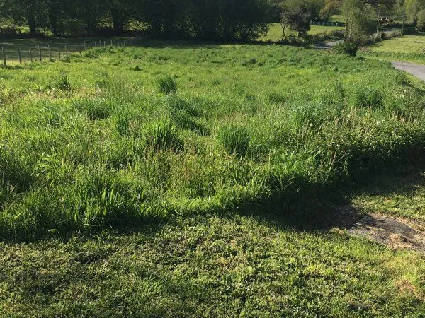 Terrain de 1620m2 tranquille avec CU positif