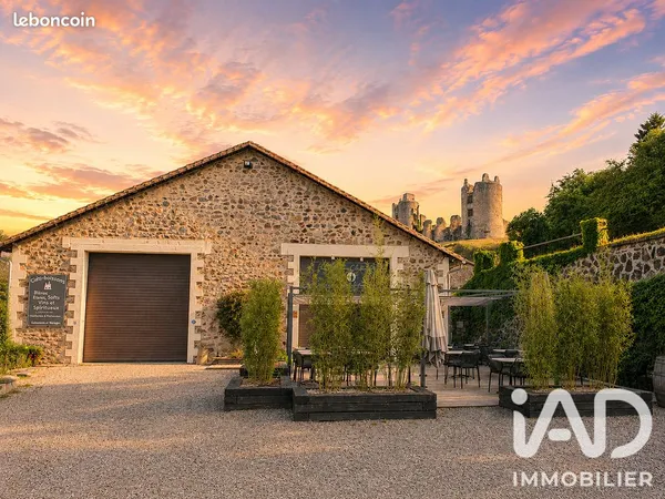 Château 3 pièces 315 m²