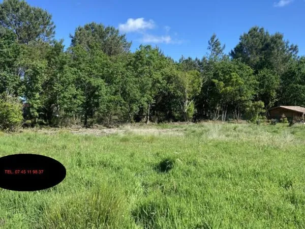 Terrain 650 m²