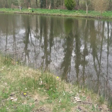 Etang avec terrain