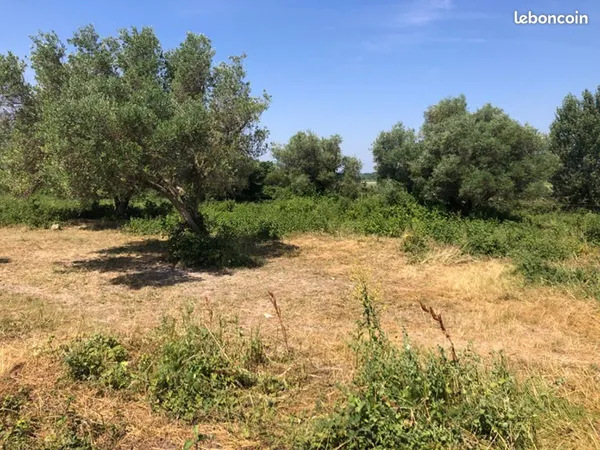 Terrain 6 640 m² Saint Hilaire D Ozilhan