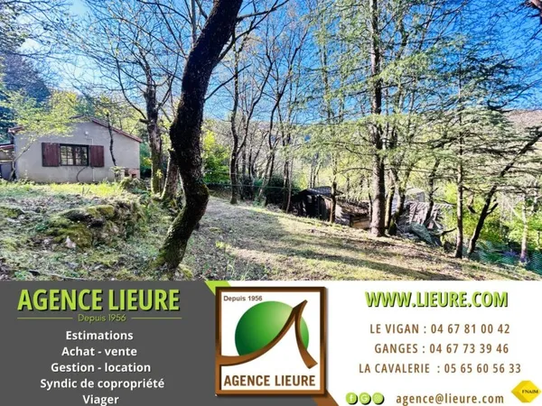 En Cévennes, Petite maison et terrain, à vendre