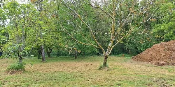 Terrain 640 m²