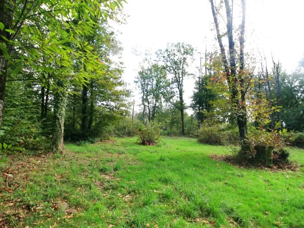 Terrain en individuel 3000 m²