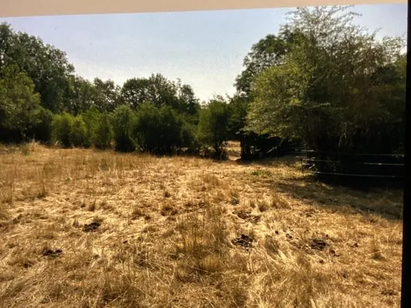 Terrain À bâtir