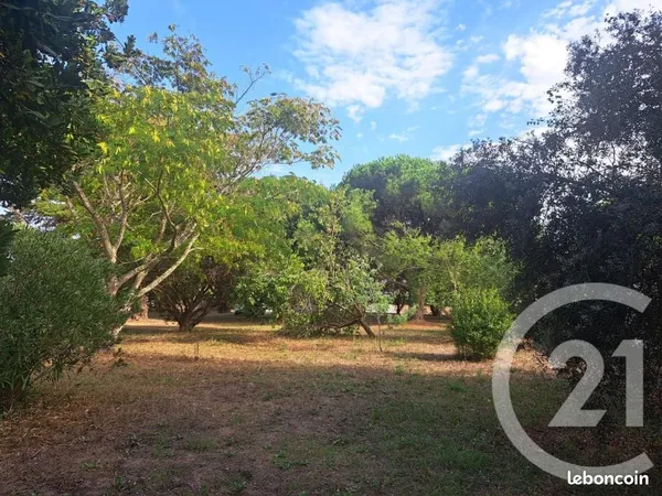 Terrain 815 m² Saint Georges D Oleron