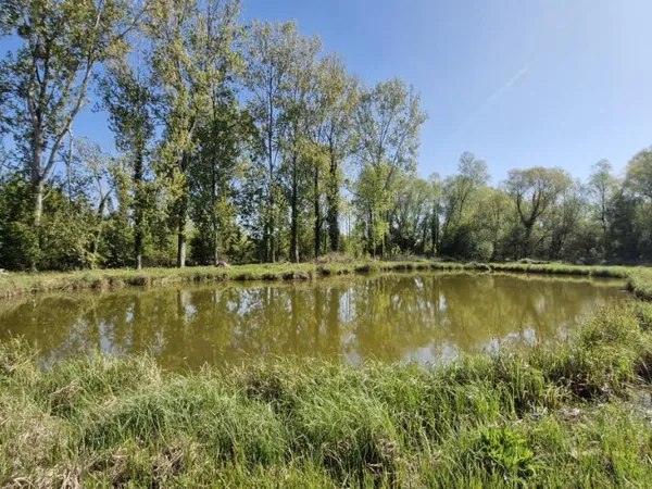 Terrain 3446 m²