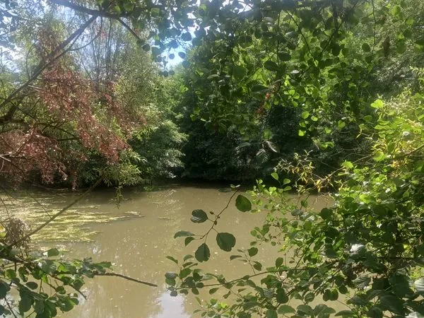 Plan d'eau Vente Condal  4000m² 55000€