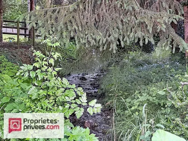 Maison familiale entre ville & campagne au bord d'un ruisseau protégé , à 5 minutes de Lisieux