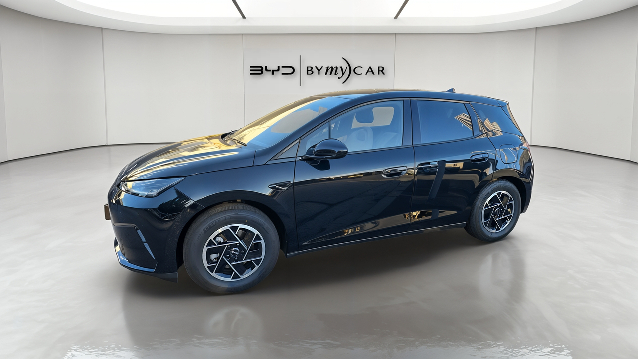 BYD Dolphin G 1.5 DM-i PHEV 212 ch — photo 2