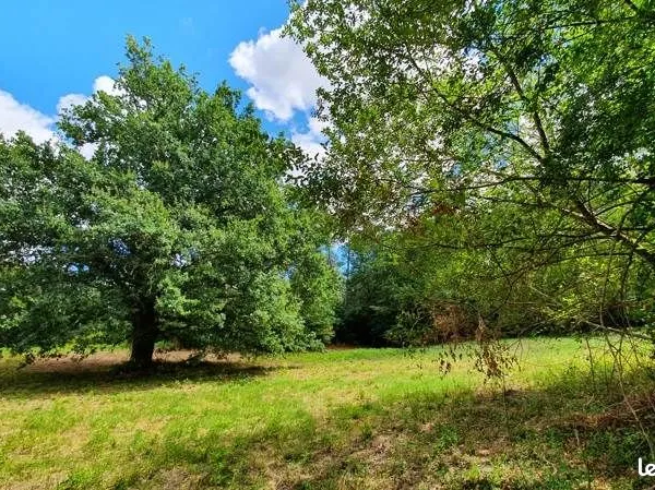 Terrain 1 650 m² Saint Privat En Perigord