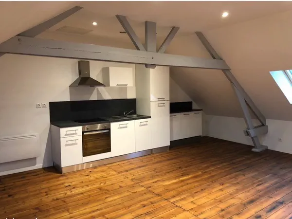 Appartement 65m2 duplex 2 chambres à Louer