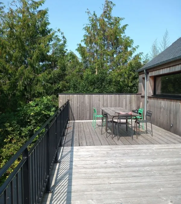 Photo 5