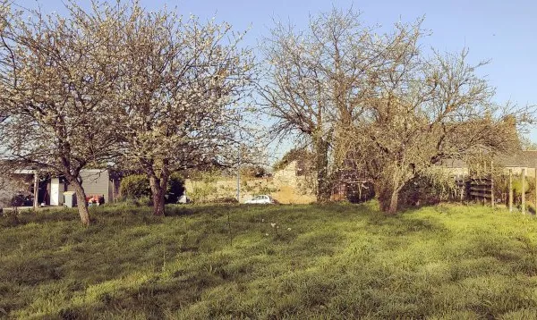 Loue petite maison de mai a juillet, 2 chambres, 50m²