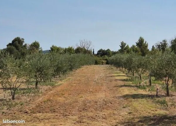 Bien agricole et foncier Vente Oupia 9170m² 17000€