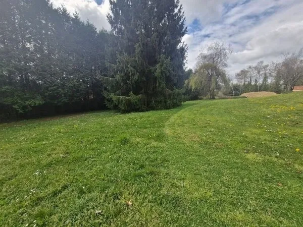Terrain 991 m²