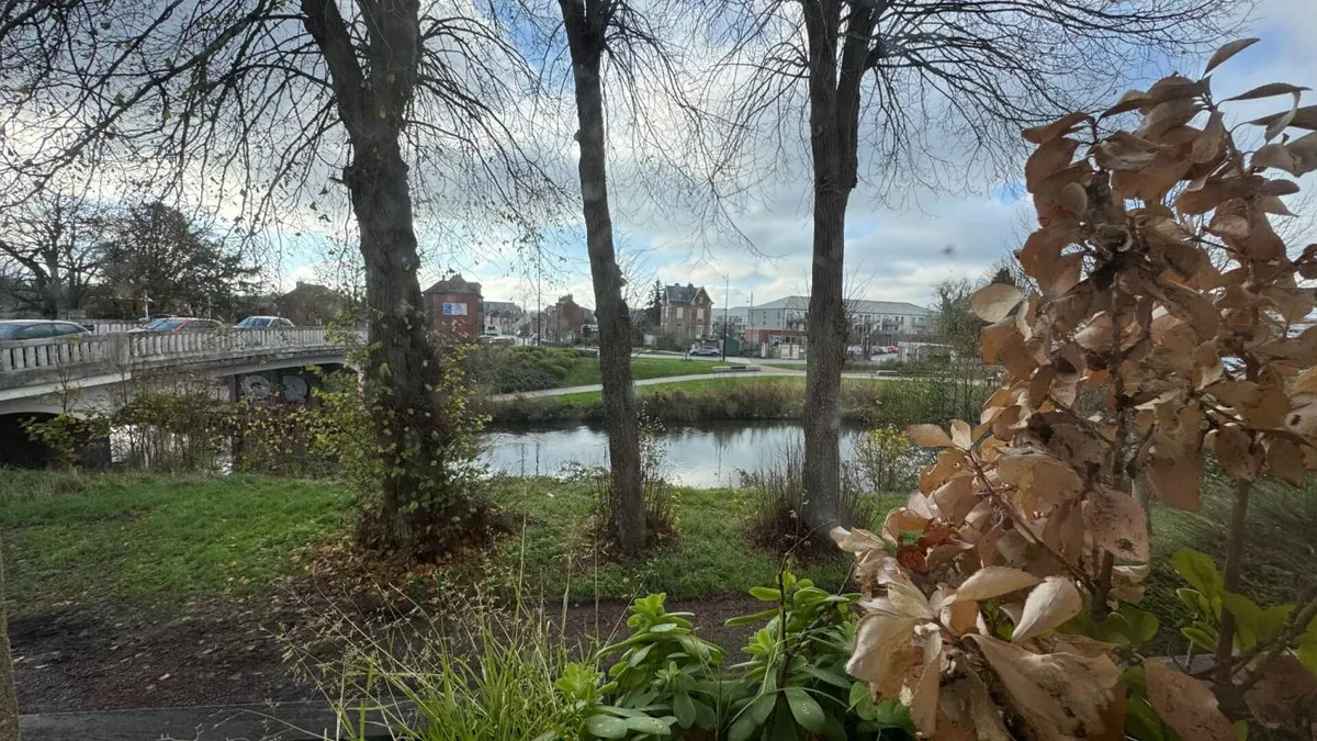 Photo 4